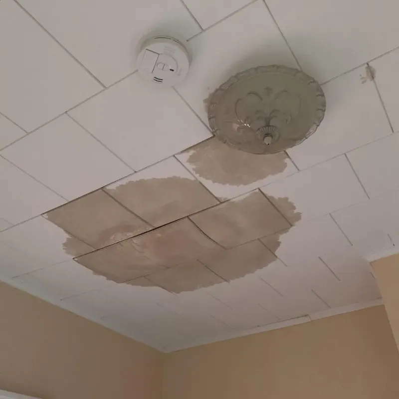 Ceiling Water Damage Repair in Fairview, TN