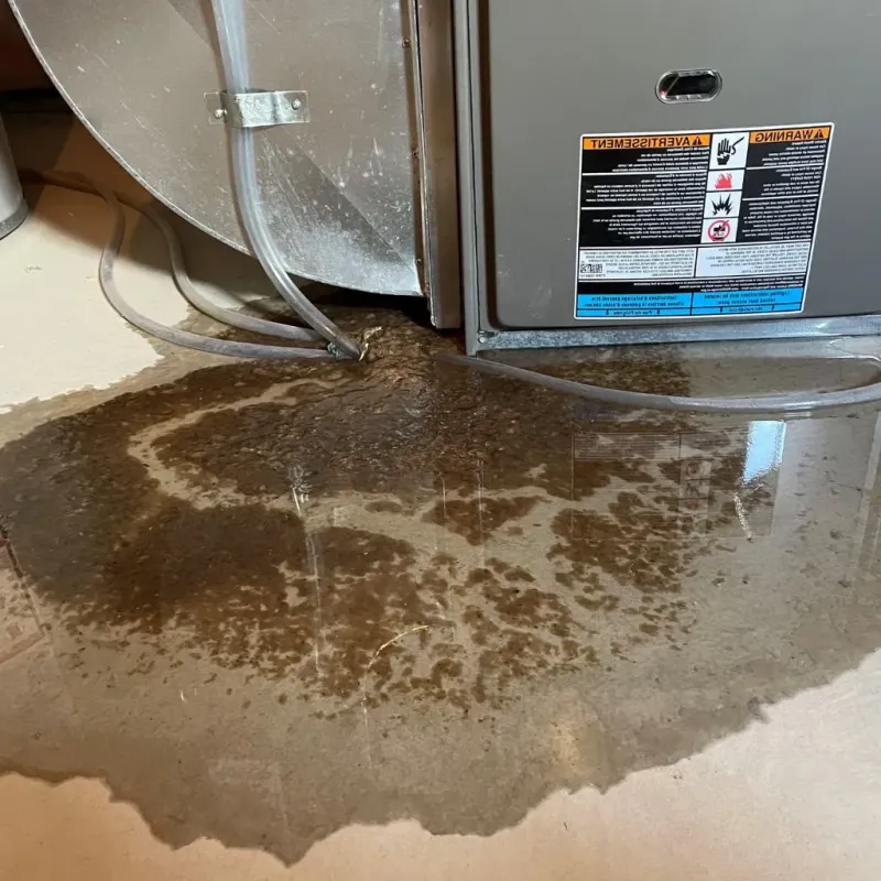 Pipe Burst and Leak Restoration in Fairview, TN