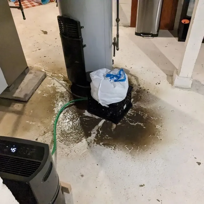 Sewage Backup Cleanup Service in Fairview, TN